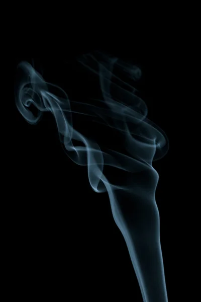 Blauwe rook geïsoleerd op zwart — Stockfoto