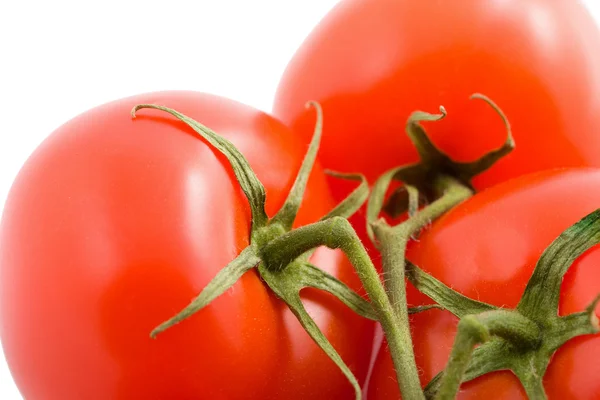 Tomates isolados — Fotografia de Stock