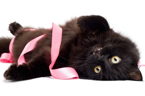 Gato preto brincando com fita rosa — Fotografia de Stock
