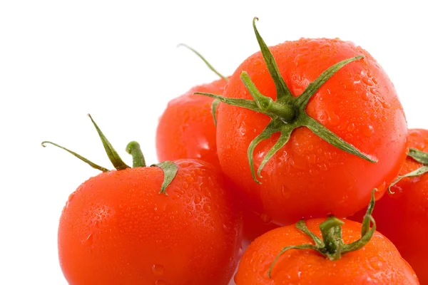 Tomates fraîches isolées — Photo