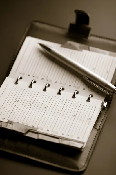 Organizador e caneta (DOF superficial ) — Fotografia de Stock