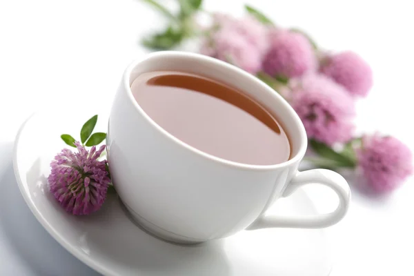 Filiżankę herbaty ziołowe i kwiaty na białym tle — Zdjęcie stockowe