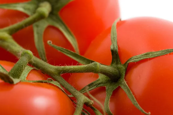 Tomates maduros aislados —  Fotos de Stock