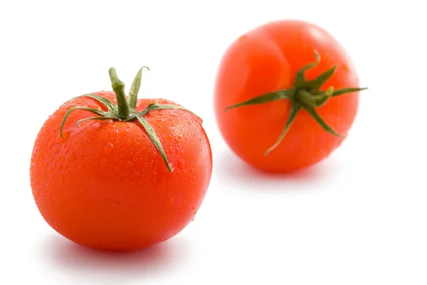 Zwei reife Tomaten isoliert — Stockfoto