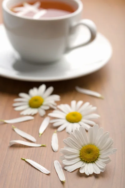 Cup of herbal tea and camomile flowers — Stock Photo, Image
