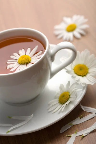 Cup of herbal tea and camomile flowers — Stock Photo, Image