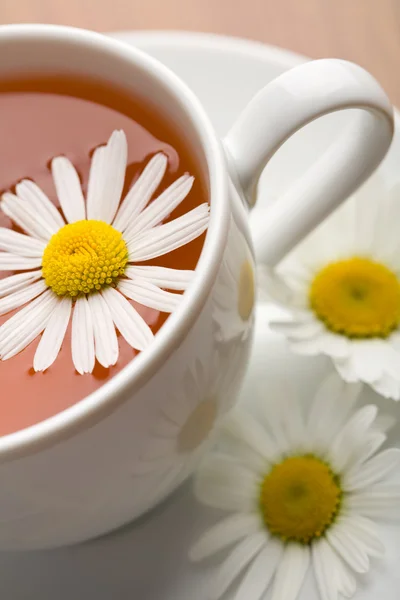 Kopp ört te och kamomill blommor — Stockfoto