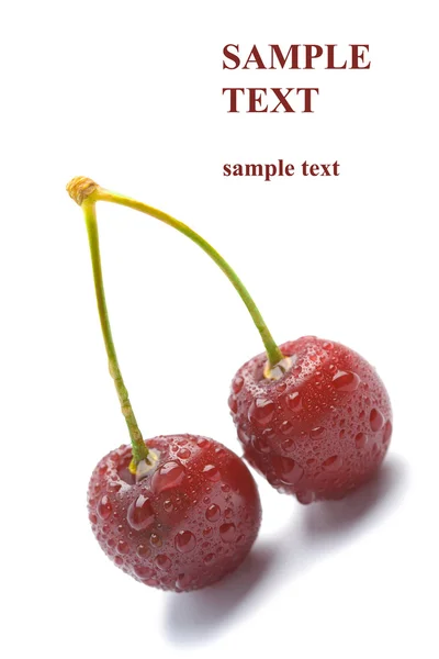 Fresh ripe cherry isolated — Stock Photo, Image