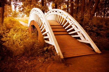 Bridge to autumn clipart