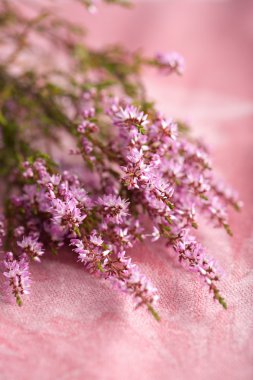 Bouquet of heather flowers over pink clipart