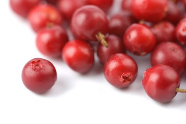 Red billberries isolated clipart