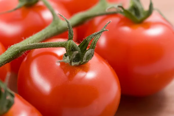 Reife Tomaten Hintergrund — Stockfoto