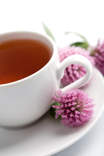Cup of herbal tea and clover flowers — Stock Photo, Image
