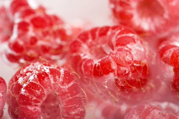 Fresh raspberries in water — Stock Photo, Image