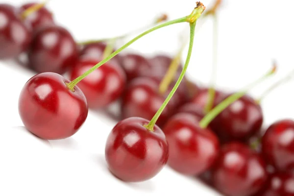 Cherries solated — Stock Photo, Image