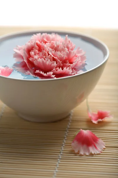 Цветок, плавающий в белой чаше — стоковое фото