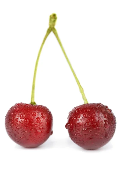 Cherries with water droplets isolated — Stock Photo, Image