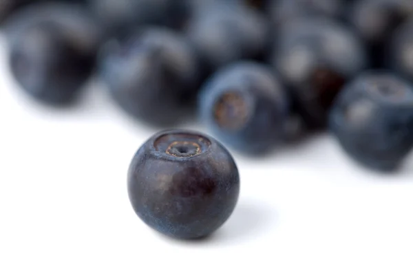 Fresh bilberries background — Stock Photo, Image