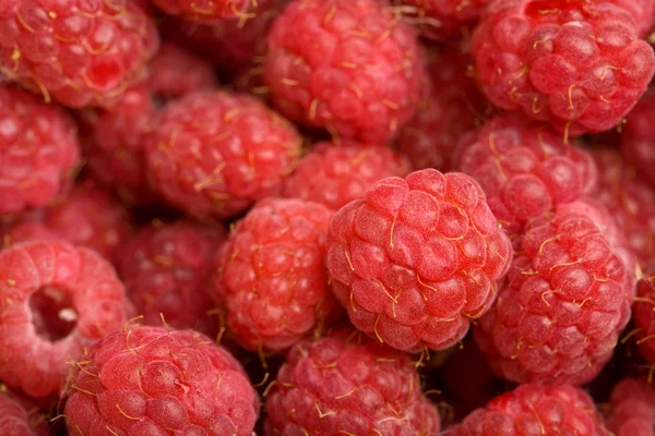 Fresh raspberries background — Stock Photo, Image