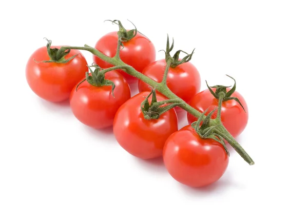 Tomates aislados —  Fotos de Stock