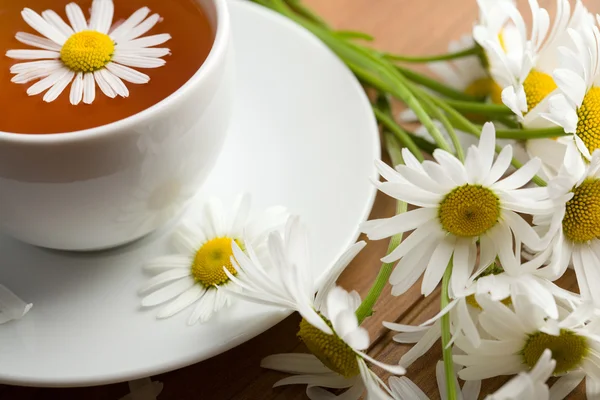 Xícara de chá de ervas e flores de camomila — Fotografia de Stock