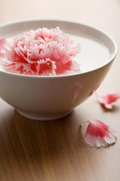 ดอกไม้ลอยอยู่ในชามสีขาว — ภาพถ่ายสต็อก
