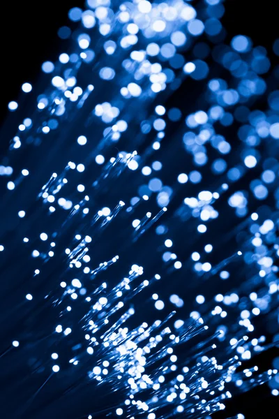 Azul brillante fibra óptica — Foto de Stock