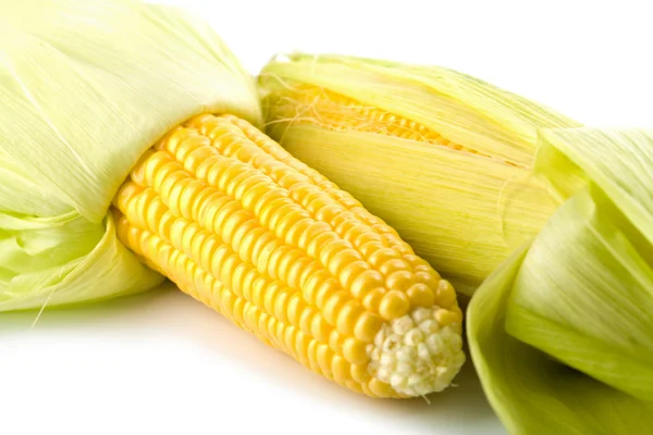 Gros plan de maïs frais isolé — Photo
