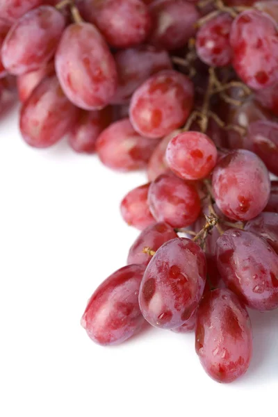 Rijpe druiven geïsoleerd — Stockfoto