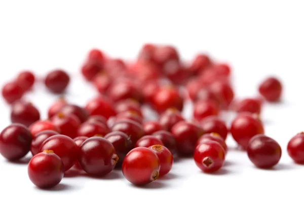 Red cranberries isolated — Stock Photo, Image