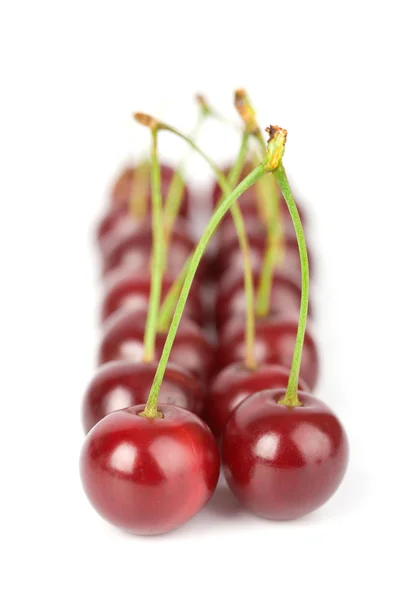 Ripe cherries isolated — Stock Photo, Image