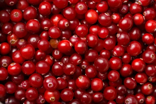 Red cranberries background — Stock Photo, Image