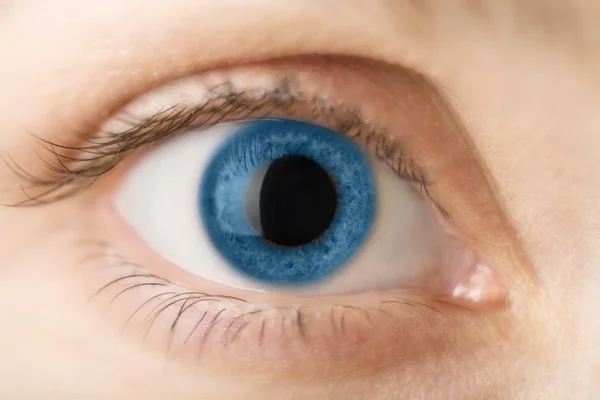 Macro do olho humano azul — Fotografia de Stock