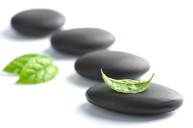Zen stones with leaves isolated clipart