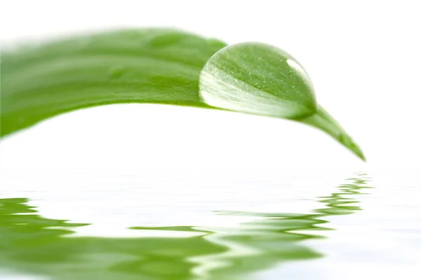 Капля воды на листке, отражающемся в воде — стоковое фото