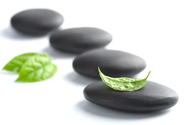 Zen stones with leaves isolated — Stock Photo, Image