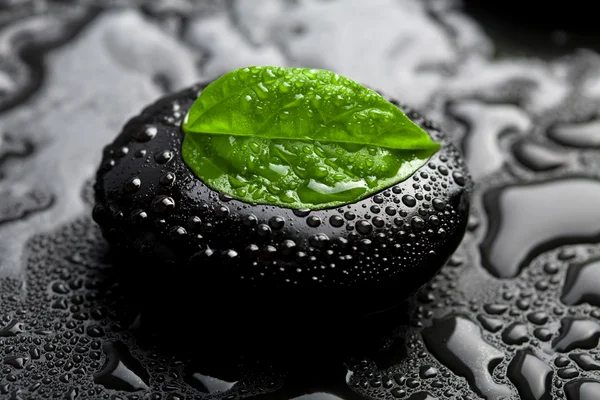 Zen stone en blad met waterdruppels — Stockfoto