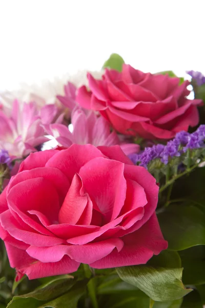 Ramo de hermosas rosas aisladas —  Fotos de Stock