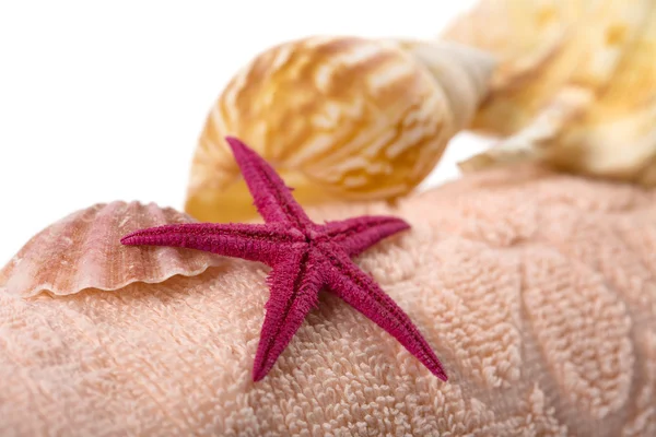 Towel and sea shells — Stock Photo, Image