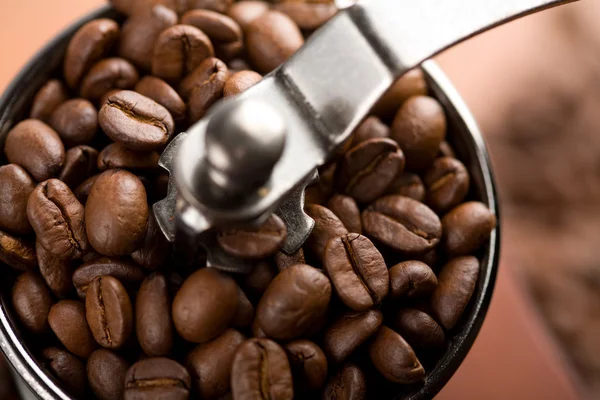 Roasted coffee beans in coffee grinder — Stock Photo, Image
