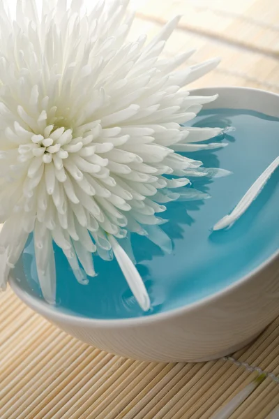 stock image White flower floating in bowl