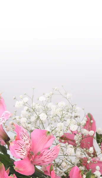 Strauß aus Lilien — Stockfoto