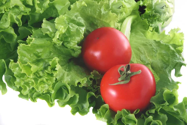 Fräsch sallad och två tomater. — Stockfoto