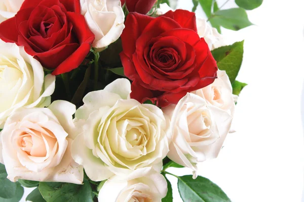 Vita och röda rosor — Stockfoto