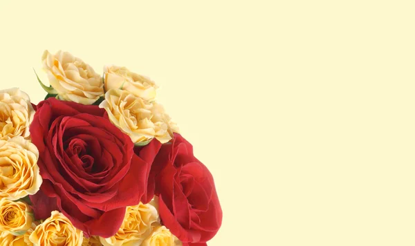 Hintergrund mit einer Rose — Stockfoto