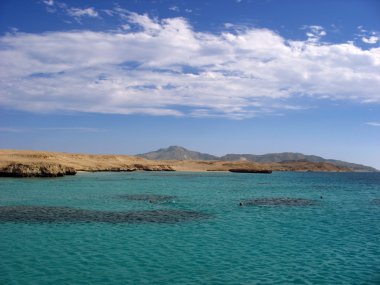 Kızıl Deniz