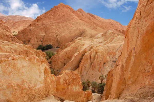Oásis montanhoso na Tunísia — Fotografia de Stock