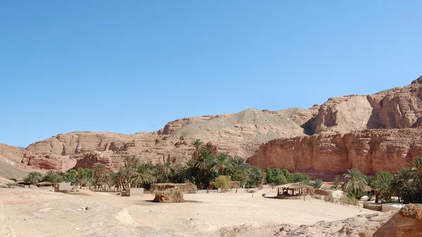 Оазис в цветном каньоне . — стоковое фото