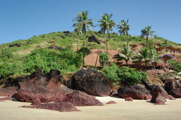 海滩上的椰子树 — 图库照片
