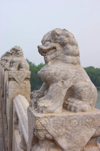 stock image Stone lion